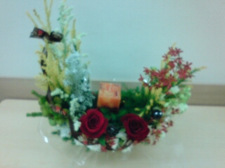20101213173917.jpg