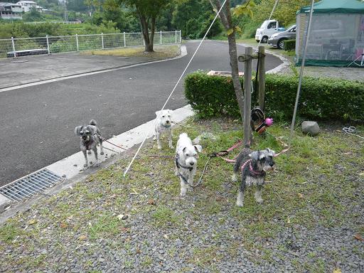 P1030118.JPG