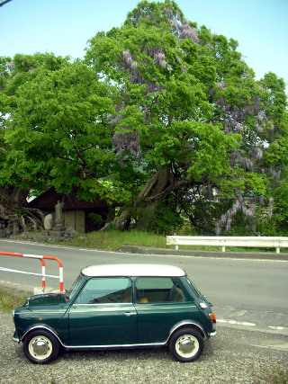 110811_mini
