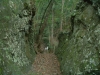 渓山窯