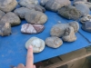 つる細工 清水