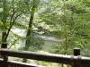 多摩川の様子