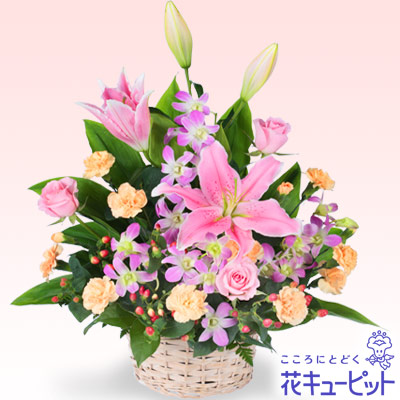 花キューピット ネット通販deハッピーライフ