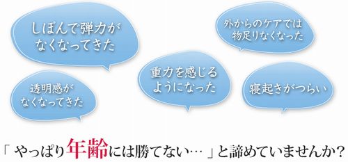日本ハム プラセンタ タブレット日本ハム