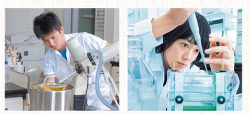 日本ハム発の純度100 の国産豚プラセンタ プラセンタ タブレット日本ハム