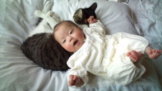 20110409120646.jpg