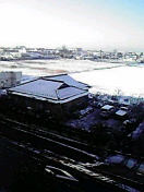 2010020207580000.jpg