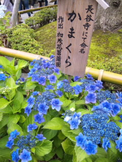 SH3E0324.jpg