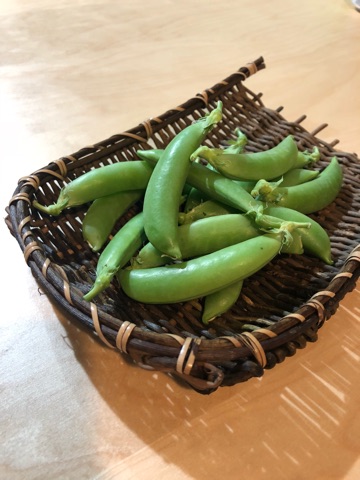 image02.jpg