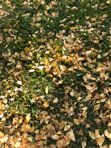 image03.jpg