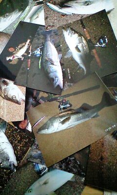 101229_0132~0001.jpg