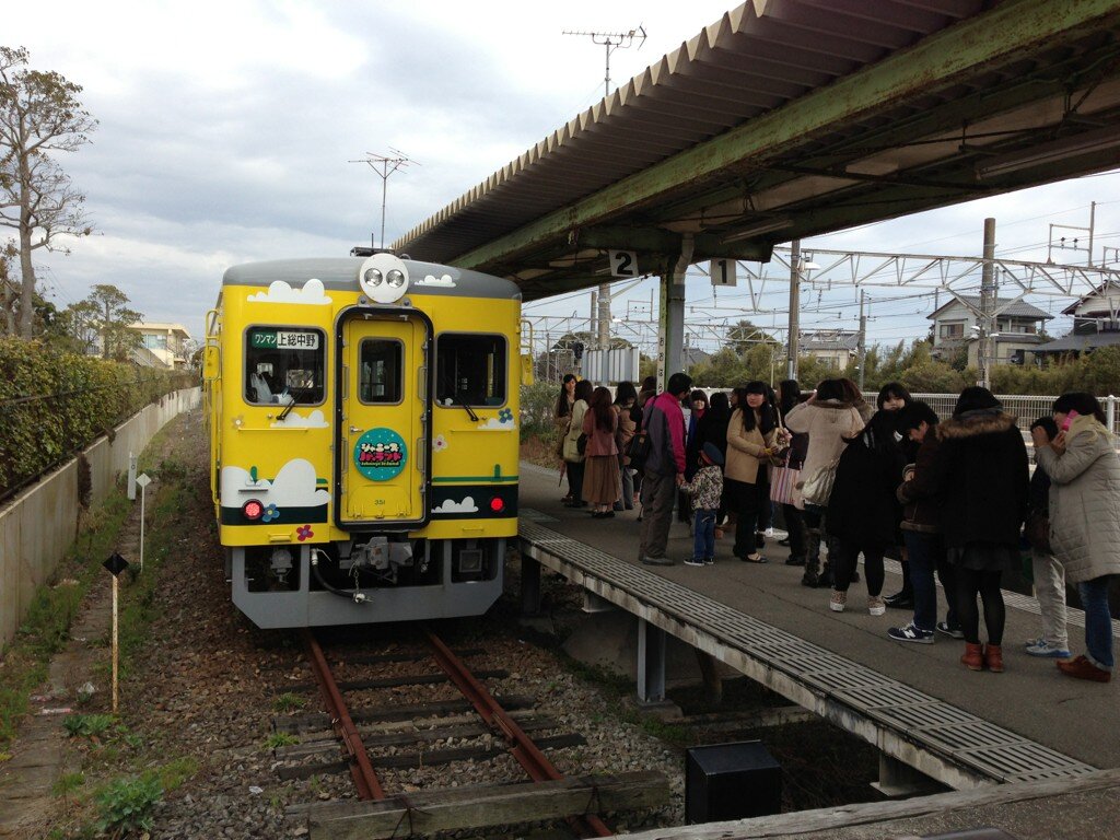 nagayashi様の画像