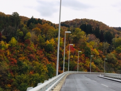 20181029_1785609.jpg