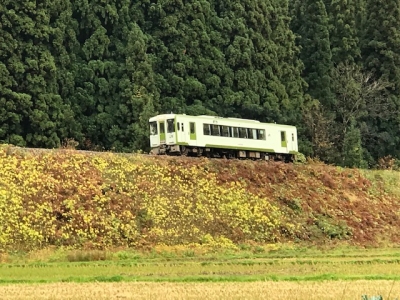 20181119_1801893.jpg