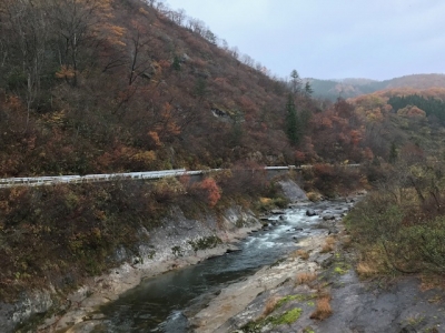 20181119_1801895.jpg