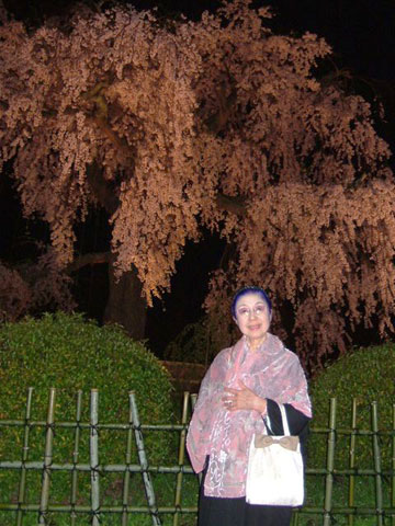 祇園の夜桜