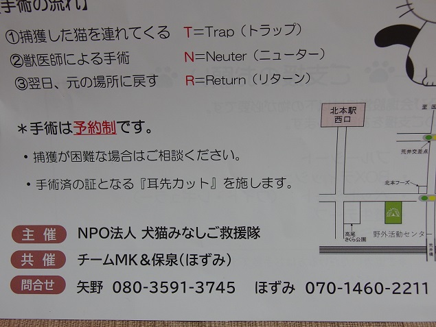 みなし ご 救援 隊 ブログ