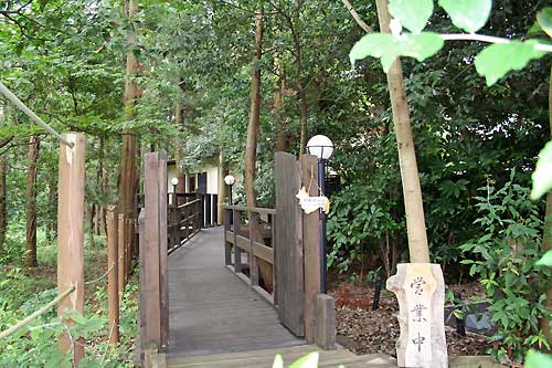 小綬鶏(コジュケイ)お店