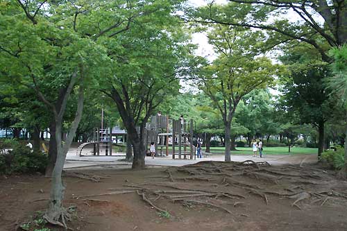 手賀沼公園風景