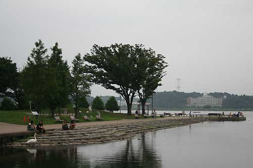 手賀沼公園風景
