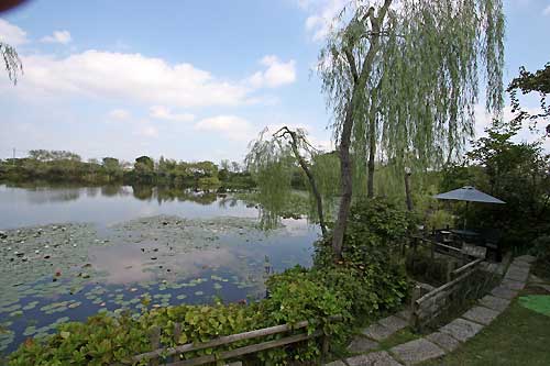 かじ池風景