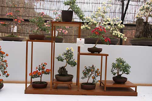 神代植物公園