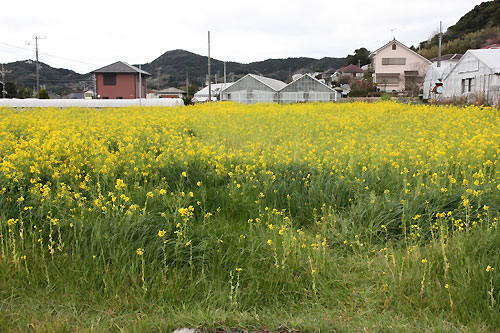 0.房総の旅4.jpg