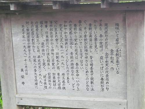 0.真栄寺.gif