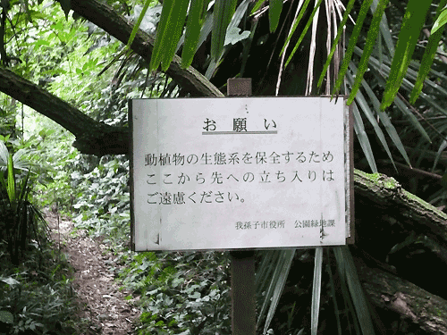 0.波除不動尊8.gif