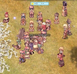 ファイナルアンサー?