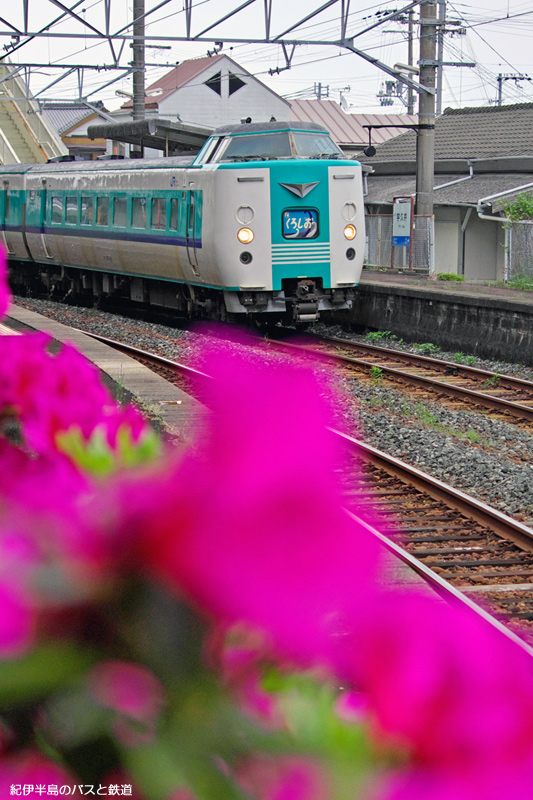 つつじ＠宇久井駅 紀伊半島のバスと鉄道