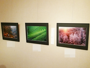 写真展3