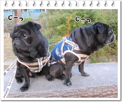 公園2