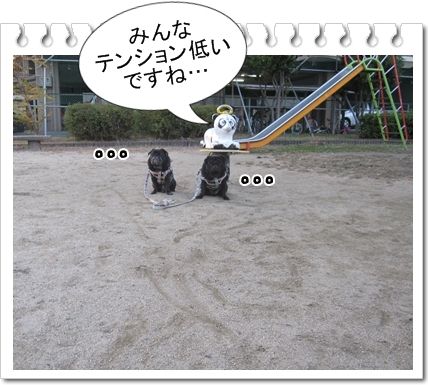 公園5