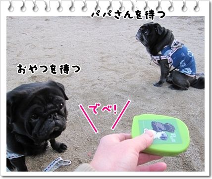公園9