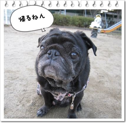 公園11