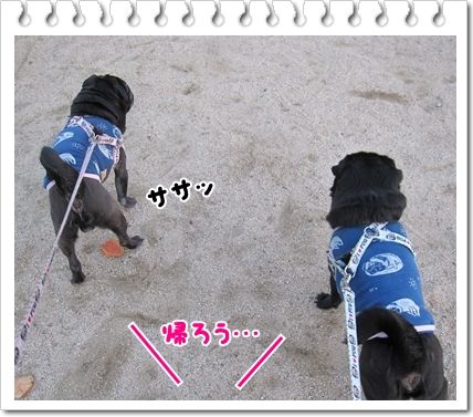 公園12