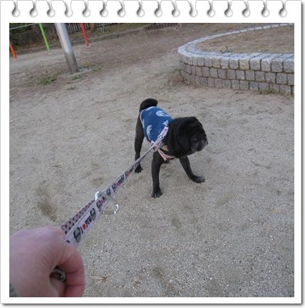 公園13