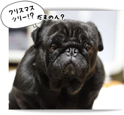 ツリーしん1