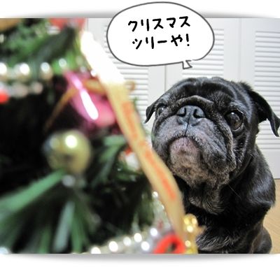 ツリーでべ8