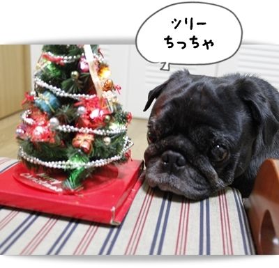 ツリーでべあご22