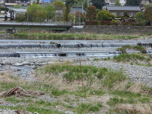 秋川2.jpg