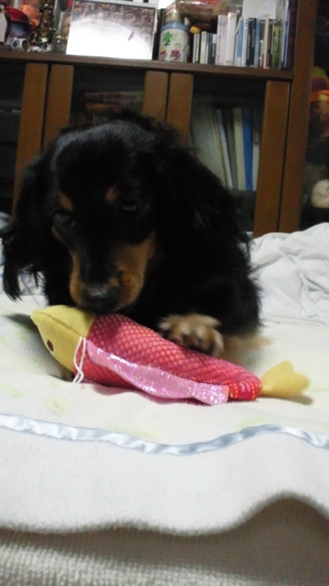2010113020340002.jpg