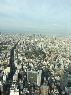 iPhoneImage.png