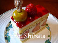 食べるほおずきがのってます!