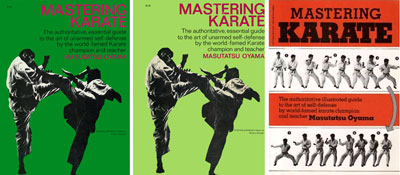 masteringkarate4.jpg