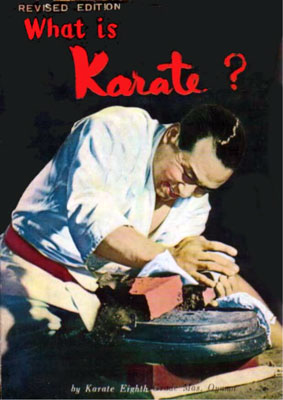 whatiskarate2.jpg