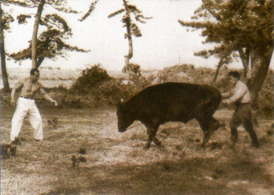µíÆÃ·±2.jpg