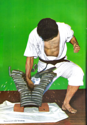 安田英治瓦割り.jpg