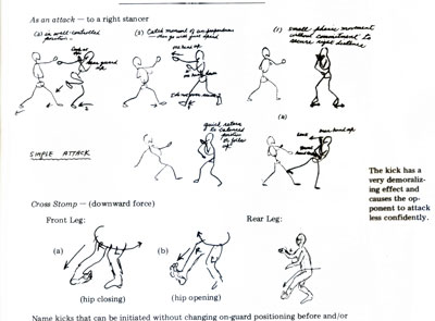 brucelee4.jpg